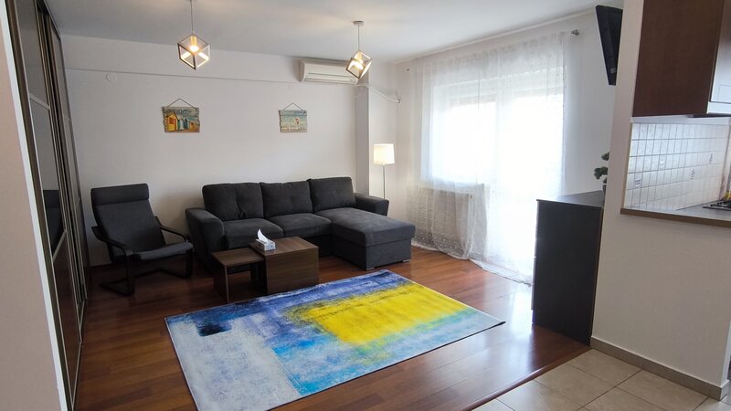 Vitan-Barzesti / Rin Grand Hotel